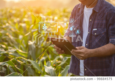 Farmer using digital tablet in corn crop cultivated field with smart farming interface icons and light flare sunset effect. Smart and new technology for agriculture business concept. Farmer using digital tablet in corn crop cultivated field with smart farming interface icons and light flare sunset effect. Smart and new technology for agriculture business concept. 99884575