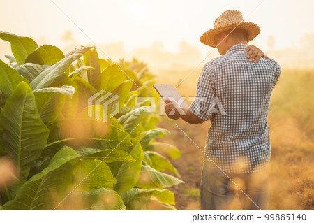 Injuries or Illnesses, that can happen to farmers while working. Man is using his hand to cover and touching over shoulder because of hurt, pain or feeling ill. Injuries or Illnesses, that can happen to farmers while working. Man is using his hand to cover and touching over shoulder because of hurt, pain or feeling ill. 99885140