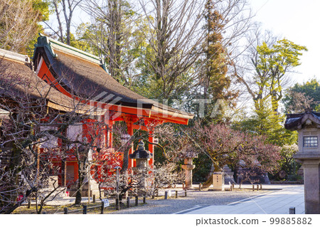 Kitano Tenmangu shrine, landlord shrine, early spring season (Bakuro-cho, Kamigyo-ku, Kyoto) 99885882