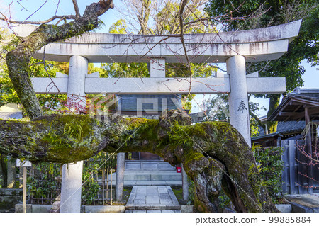Kitano Tenmangu shrine grounds Kamasha (Bakuro-cho, Kamigyo-ku, Kyoto) 99885884