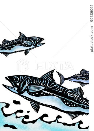 Spanish mackerel jumping on the surface of the water vertical writing 99886065