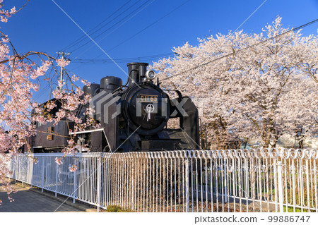 Fukushima_Weeping cherry blossoms and steam locomotive on the Nicchu Line Fukushima_Weeping cherry blossoms and steam locomotive on the Nicchu Line 99886747