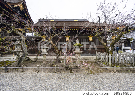 北野天滿宮(2 月)平六之梅、織部石燈籠 北野天滿宮(2 月)平六之梅、織部石燈籠 99886896