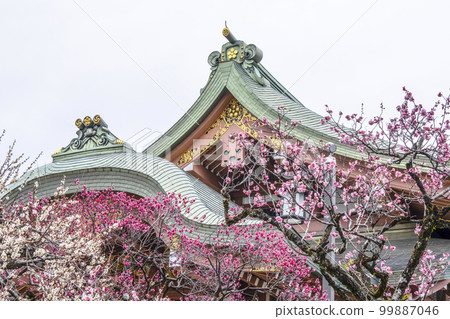 北野天滿宮(2月)寶物館 北野天滿宮(2月)寶物館 99887046