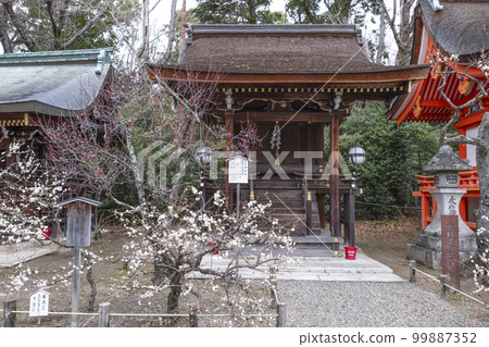 北野天滿宮(二月)Oimatsusha 北野天滿宮(二月)Oimatsusha 99887352