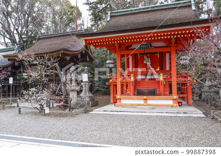 北野天滿宮(二月)地州神社 北野天滿宮(二月)地州神社 99887398