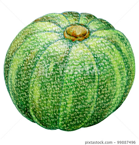 夏日蔬菜南瓜彩色鉛筆劃一點圖解 99887496