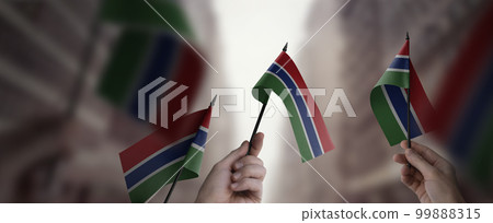 A group of people holding small flags of the Gambia in their hands 99888315