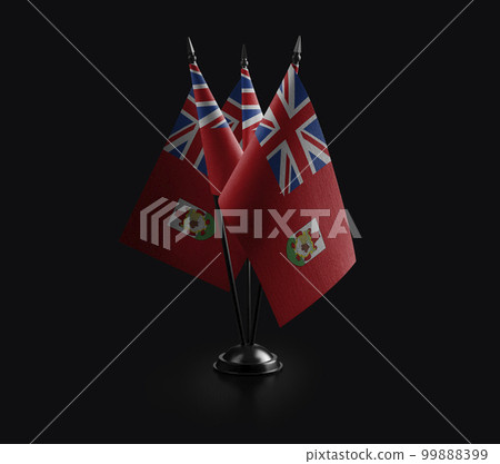 Small national flags of the Bermuda on a black background 99888399