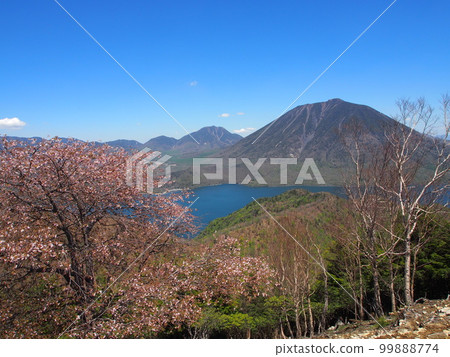 Lake Chuzenji and Mt. Nantai (from the trail to Mt. Shasan) 99888774