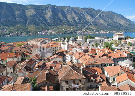 Montenegro Montenegro 99889552