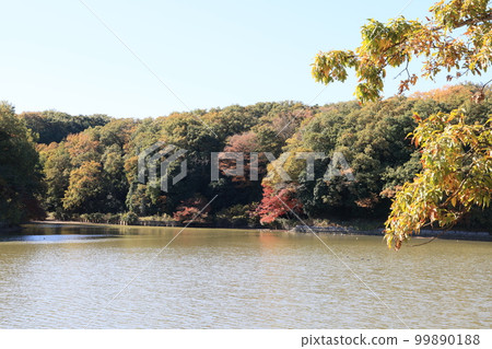 Autumn scenery of Lake Hatcho in Yoshimi-cho, Hiki-gun, Saitama Prefecture Autumn scenery of Lake Hatcho in Yoshimi-cho, Hiki-gun, Saitama Prefecture 99890188