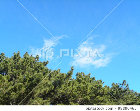 冬天的稻毛海岸上空的藍天白雲 99890463