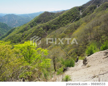Fresh green (from the trail to Mt. Shayama) Fresh green (from the trail to Mt. Shayama) 99890533