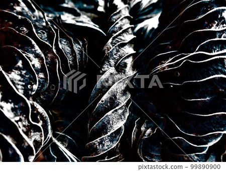 枯葉編織的線條圖案 99890900