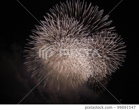 煙花表演高潮 99891547