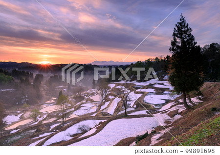Niigata _ Gamo Rice Terraces _ Superb view at dawn 99891698