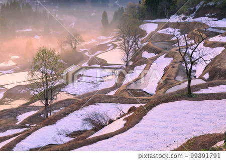 新潟_Gamou的黎明梯田 99891791