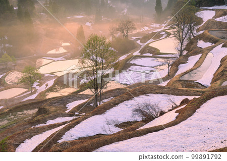 新潟_Gamou的黎明梯田 99891792