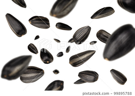 sunflower seeds flying and falling in the air on white 99895788