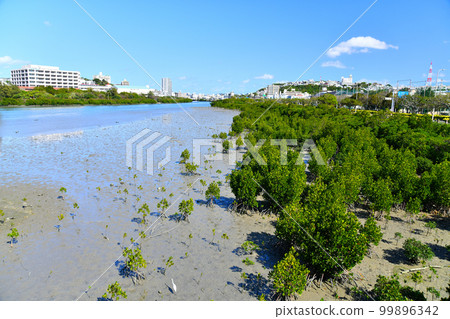 烈龍橋/小久場川，萬光馬段橋，往豐見城市（沖繩縣豐見城市）的風津望去[2023年2月] 99896342