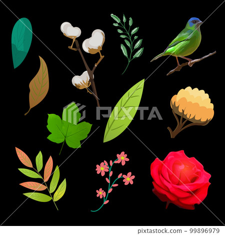 Beautiful flowers, plants and leaves. Vector illustrations of iris flower, bird and peony for floral background and wedding invitations and frame. 99896979