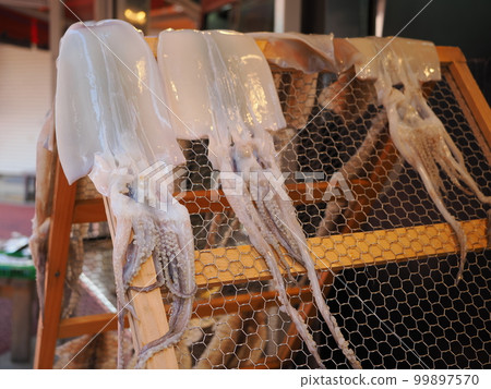 Squid's sun-dried squid 99897570