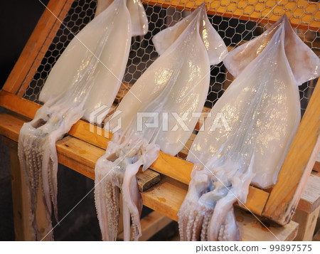Squid's sun-dried squid Squid's sun-dried squid 99897575