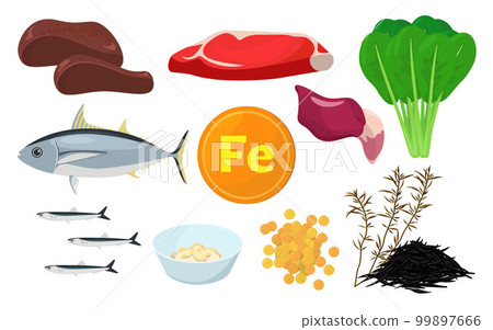 含鐵食物的矢量圖解。 含鐵食物的矢量圖解。 99897666