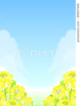 油菜田和藍天景觀 油菜田和藍天景觀 99897998