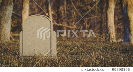 Grave in cemetery located in park in sunlight. 3d render Grave in cemetery located in park in sunlight. 3d render 99898596
