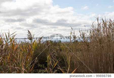 Looking above the reeds at the Great South Bay Bridges from Bay Shore Looking above the reeds at the Great South Bay Bridges from Bay Shore 99898786