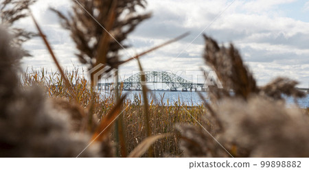 View looking though the weeds and beach grass at the Great South Bay Bridges 99898882