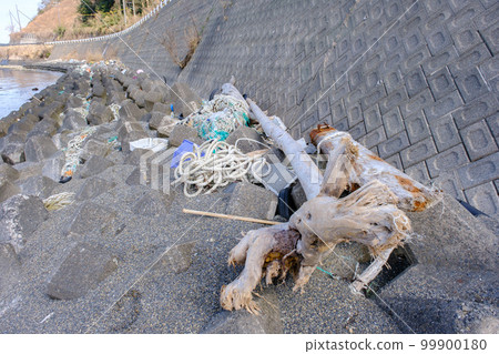 Marine garbage washed ashore on the beautiful Mihama beach Marine garbage washed ashore on the beautiful Mihama beach 99900180