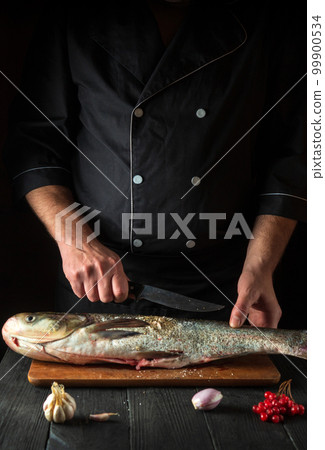 Professional chef prepares silver carp in the restaurant kitchen. Preparation for cutting fish with a knife. Work environment on the kitchen table Professional chef prepares silver carp in the restaurant kitchen. Preparation for cutting fish with a knife. Work environment on the kitchen table 99900534