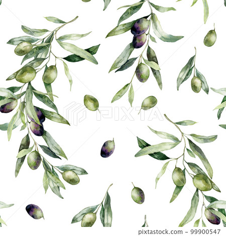 Watercolor olive seamless pattern of branches, black and green berries. Hand painted plants isolated on white background. Plants illustration for design, print, fabric or background. Watercolor olive seamless pattern of branches, black and green berries. Hand painted plants isolated on white background. Plants illustration for design, print, fabric or background. 99900547