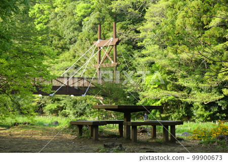 Bench and wooden bridge in city park 99900673