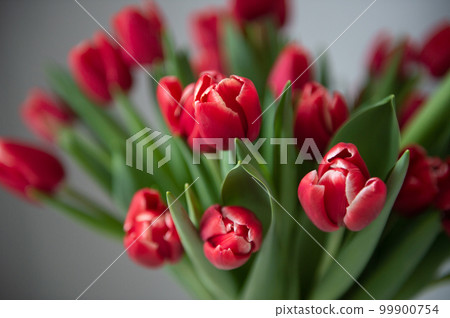 A bouquet of red peony tulips stand in a vase. Early varieties of tulips A bouquet of red peony tulips stand in a vase. Early varieties of tulips 99900754