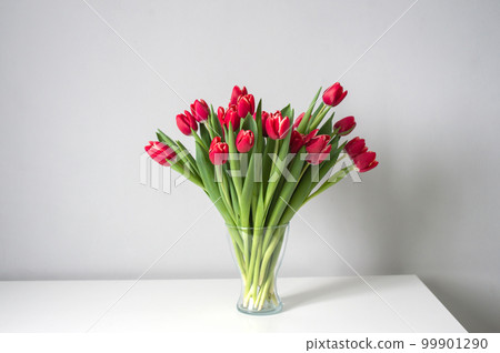 Red kung fu tulips stand in a glass vase on the kitchen table. Bouquet of flowers Red kung fu tulips stand in a glass vase on the kitchen table. Bouquet of flowers 99901290