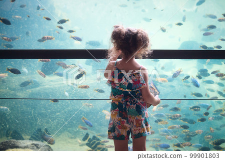 A little girl looking at tropical colorful fish in a big tank at an aquarium A little girl looking at tropical colorful fish in a big tank at an aquarium 99901803