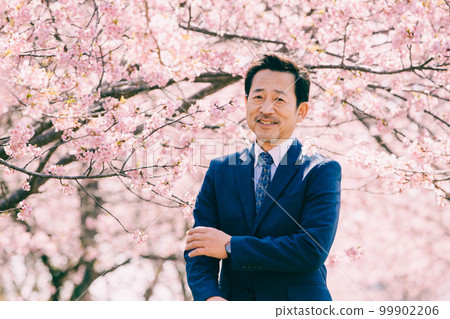 Cherry blossoms in full bloom and an old man in a suit Cherry blossoms in full bloom and an old man in a suit 99902206