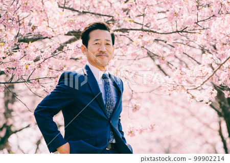 Cherry blossoms in full bloom and an old man in a suit Cherry blossoms in full bloom and an old man in a suit 99902214