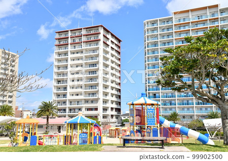 Around Toyosaki Niji Park (Tomigusuku City, Okinawa Prefecture) [February 2023] 99902500