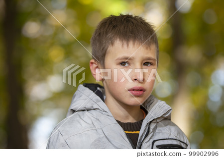 Portrait of a pensive boy against the backdrop of an autumn park. Sad child in autumn. 99902996
