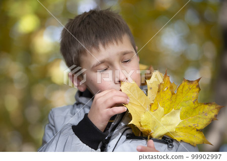 Autumn portrait of a child in autumn yellow leaves.Beautiful child in the park outdoors, october season 99902997