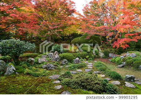 秋天從京都市源光庵書院看到的枯山水庭園 99903295