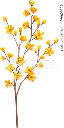 Sunflower blooming watercolor,png element 99904006