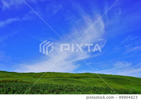 Grasslands and wing-like clouds on the summit of Kariba 99904823
