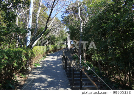 從千葉縣鴨川市的瞭望台眺望 從千葉縣鴨川市的瞭望台眺望 99905328