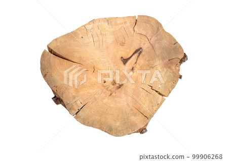 Large piece of old spruce wood cross section without bark of uneven shape isolated on white. Large piece of old spruce wood cross section without bark of uneven shape isolated on white. 99906268